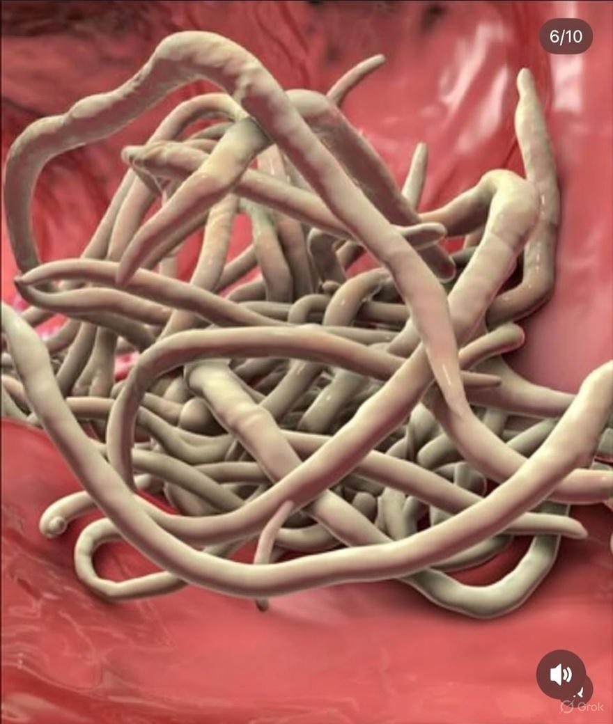 Parasites illustration