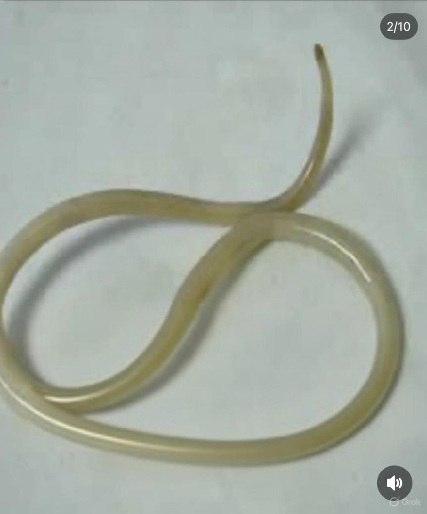 Scientific study parasites